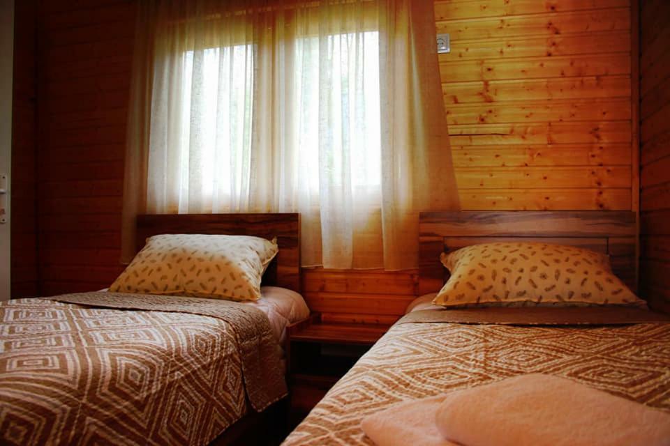 Hotel Ushba Hill Mestia Zewnętrze zdjęcie